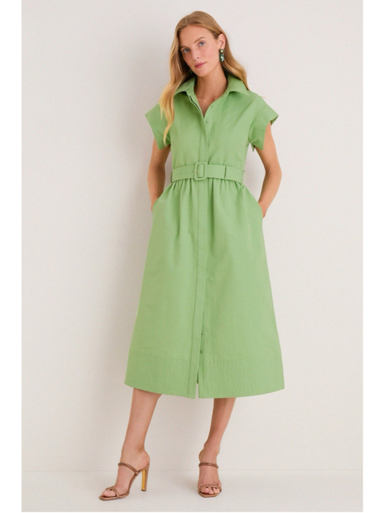 Tuckernuck Dresses & Skirts - New Tuckernuck Pistachio Green Chloe Midi Dress 3XL Belted Collared Moir Classic